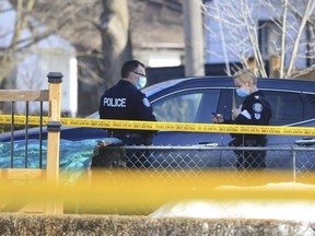 Toronto Police forensic officers investigate the stabbing murder of an elderly man on Hearst Circle near Jane St. And Threthewey Dr. that happened around 11:30 a.m. Another man possibly the suspect stabbed himself after the incident on Tuesday March 9, 2021. Jack Boland/Toronto Sun/Postmedia Network