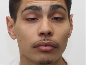 Yonis Fernandez, 23, faces multiple charges after two vehicles were stolen on Sunday, March 21, 2021.