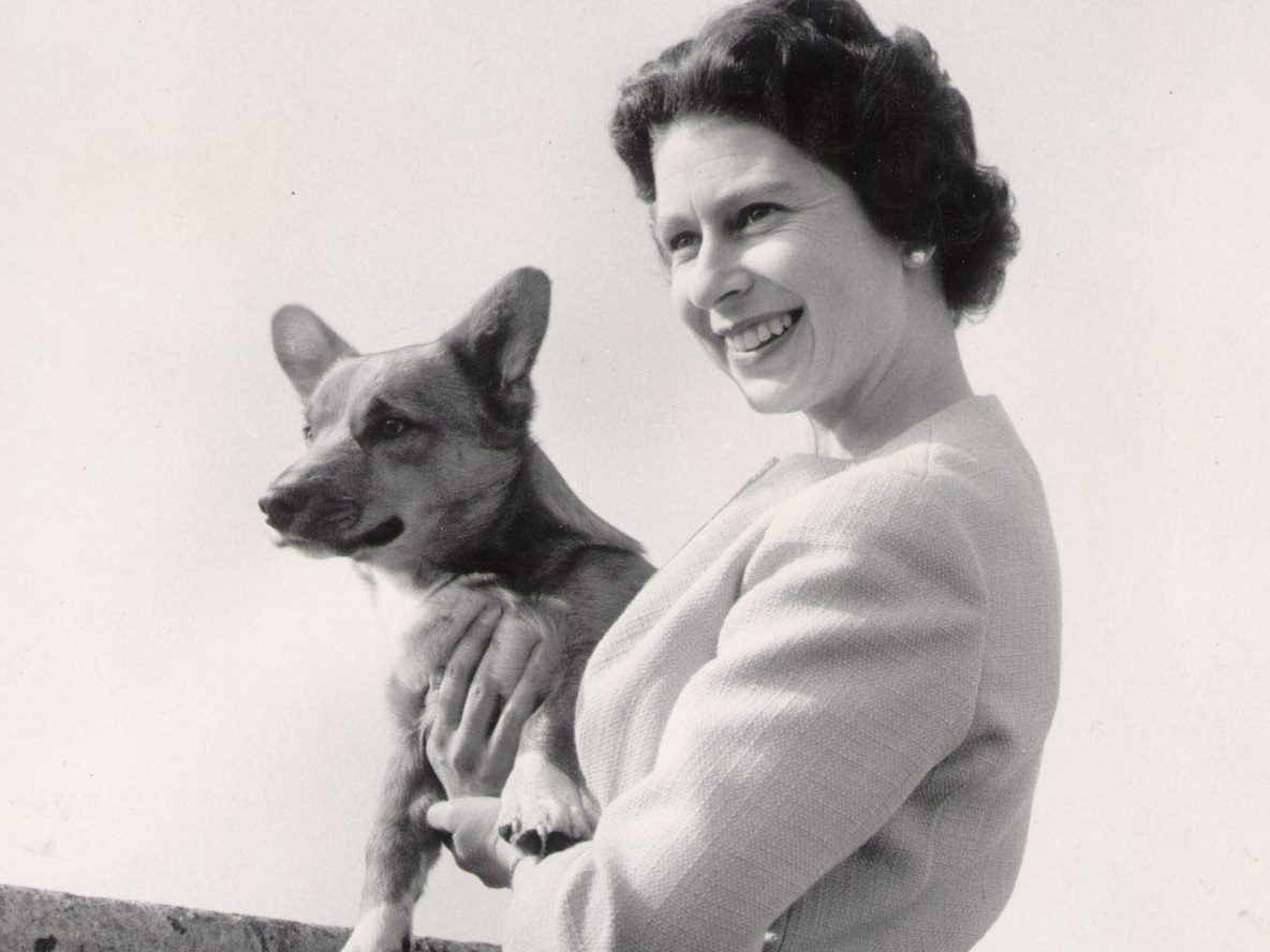 A queen and her corgis: Elizabeth loved breed from childhood | Toronto Sun
