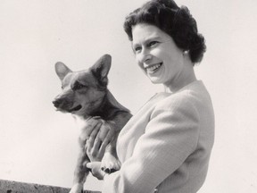 Queen Elizabeth and a corgi in 1970.