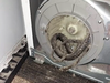 A dead snake was the reason behind a Florida family’s dryer dying.