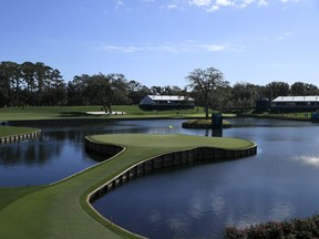 The iconic par-3 17th hole at TPC Sawgrass in Ponte Vedra Beach, Fla., the home of The Players Championship.