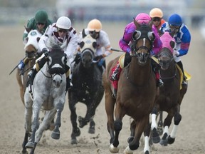 Racing is slated to start at Woodbine on April 17. Michael Burns photo