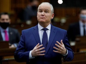 Canada's Conservative Party leader Erin O'Toole speaks during Question Period in the House of Commons on Parliament Hill in Ottawa, Ontario, Canada February 3, 2021.