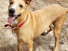 Baby Girl has been adopted following a seven-year stay at an animal shelter in Texas.