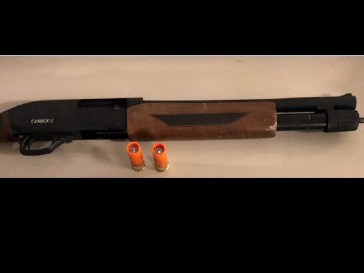 Cops crack down on bikers with gun, drug bust in Toronto Edmonton Journal