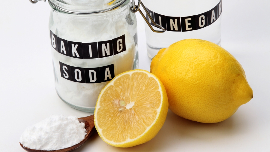 Colin and Justin Spot check Toronto Sun