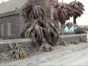 Ash covers palm trees and a church a day after the La Soufriere volcano erupted after decades of inactivity, about 5 miles (8 km) away in Georgetown, St. Vincent and the Grenadines April 10, 2021 in a still image from video.