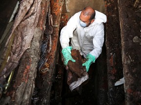 A gravedigger wearing a protective suit handles pieces of an old damaged coffin during exhumations to open space on cement graves as new burials are suspended at Vila Nova Cachoeirinha cemetery in Sao Paulo, Brazil, April 1, 2021.