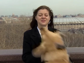 Russian reporter Nadezhda Serezhkina had her microphone stolen from her by a dog during a live hit.