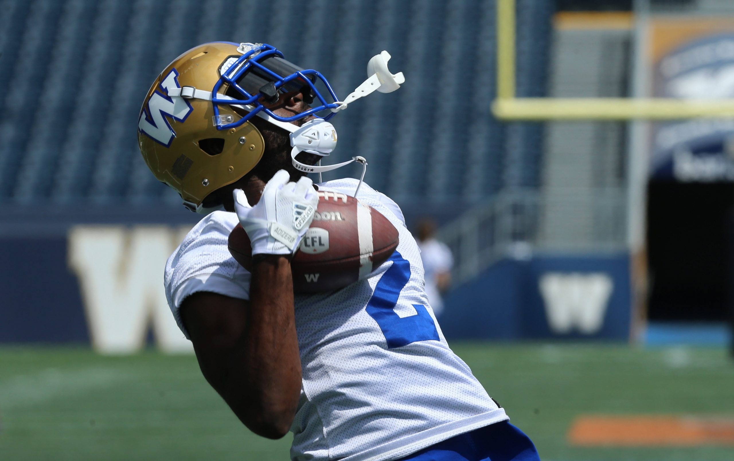 Winnipeg Blue Bombers' Kenbrell Thompkins (2) celebrates his yards