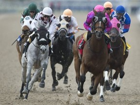 While staff are hopeful that the more than 1,000 employees at Woodbine will soon receive a vaccination via a mobile clinic at the track, they are worried that unless the province takes action soon, there could be a medical catastrophe. Michael Burns photo