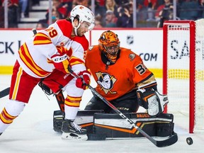 Anaheim Ducks goaltender Ryan Miller guards his net against Calgary Flames center Dillon Dube during the first period at Scotiabank Saddledome.