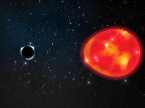 A black hole located approximately 1,500 light years from our solar system, discovered in the constellation Monoceros, pulls at a nearby red giant star, distorting its light in an undated illustration.