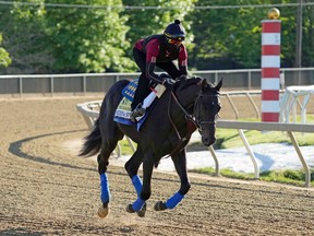 Medina Spirit during a morning workout at Pimlico Race Course on May 13, 2021.