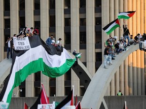 Pro-Palestine supporters take part in a protest in Toronto, Ontario, Canada May 15, 2021.