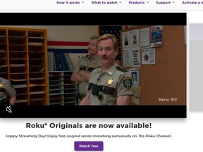 Image taken from Roku's website