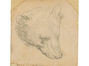 Leonardo da Vinci's "Head of a bear" drawing is seen in this undated handout image.