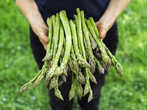 Asparagus