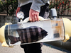 A Japanese company has invented a tank in which people can carry their pet fish wherever they go.
