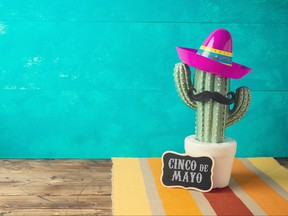 Cinco de Mayo holiday background with Mexican cactus and  party sombrero hat on wooden table