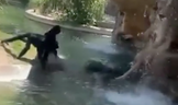 A Texas woman was fired after being caught on camera feeding spider monkeys inside their enclosure at the El Paso Zoo.