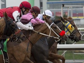 Thoroughbred racing will not be permitted to start until June 18 under the so-called Roadmap to Reopen. MICHAEL BURNS PHOTO