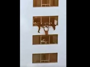 Chief James Ramer tweeted dramatic video footage of a "person in crisis." The man was hanging out of an eighth-floor window, being held by onsite security.
