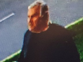 Police are seeking to identify this man, who they allege assaulted a woman near Scarlett Rd. and Edenbridge Dr. on Monday, May 24 2021.