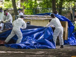 Workers take apart a homeless encampment at Trinity Bellwoods Park in Toronto on June 22, 2021.