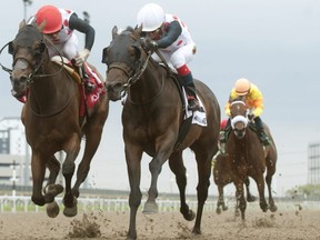 Souper Escape, right, won the Trillium Stakes at Woodbine over the weekend. Michael Burns photo