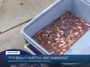 Avery Sanford is donating 80,000 pennies from her estranged father to a domestic abuse centre.
