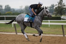 Essential Quality gallops during morning workouts prior to the 153rd running of the Belmont Stakes. Essential Quality is the favourite.