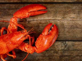 Wooden background with cooked red large lobster. Top view.