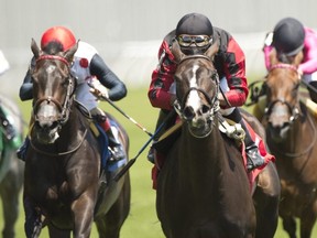After a long COVID hiatus, horse racing was once again going strong this weekend at Woodbine Racetrack.  Michael Burns Photo