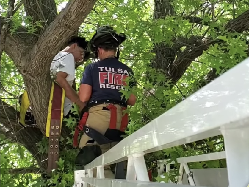 Firefighters Rescue Man And Cat From Tree After Mans Attempt Fails