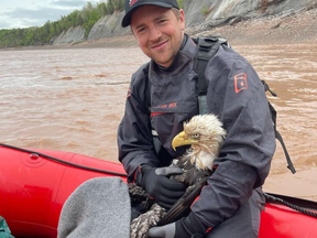 Emmett Blois holds an injured bald eagle he rescued from the Shubenacadie River on Sunday, May 30, 2021.