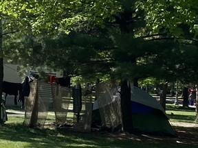 The homeless encampment at Trinity Bellwoods Park, one of many in downtown Toronto, now consists of more than 70 tents and assorted structures.