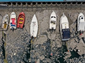 Aerial view of 'sea snot', a thick slimy layer of the organic matter also known as marine mucilage, spreading through the Sea of Marmara and posing a threat to marine life and the fishing industry, on the shores of Istanbul, Turkey June 8, 2021.