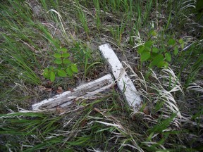 A decaying white cross lies in a small cemetery for children who died at Brandon Indian Residential School near one of three sites where researchers, partnered with the Sioux Valley Dakota Nation, located 104 potential graves in Brandon, Manitoba, June 12, 2021.