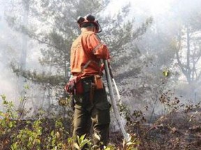 An Ontario fire ranger can be seen dousing a hot spot in northern Ontario.