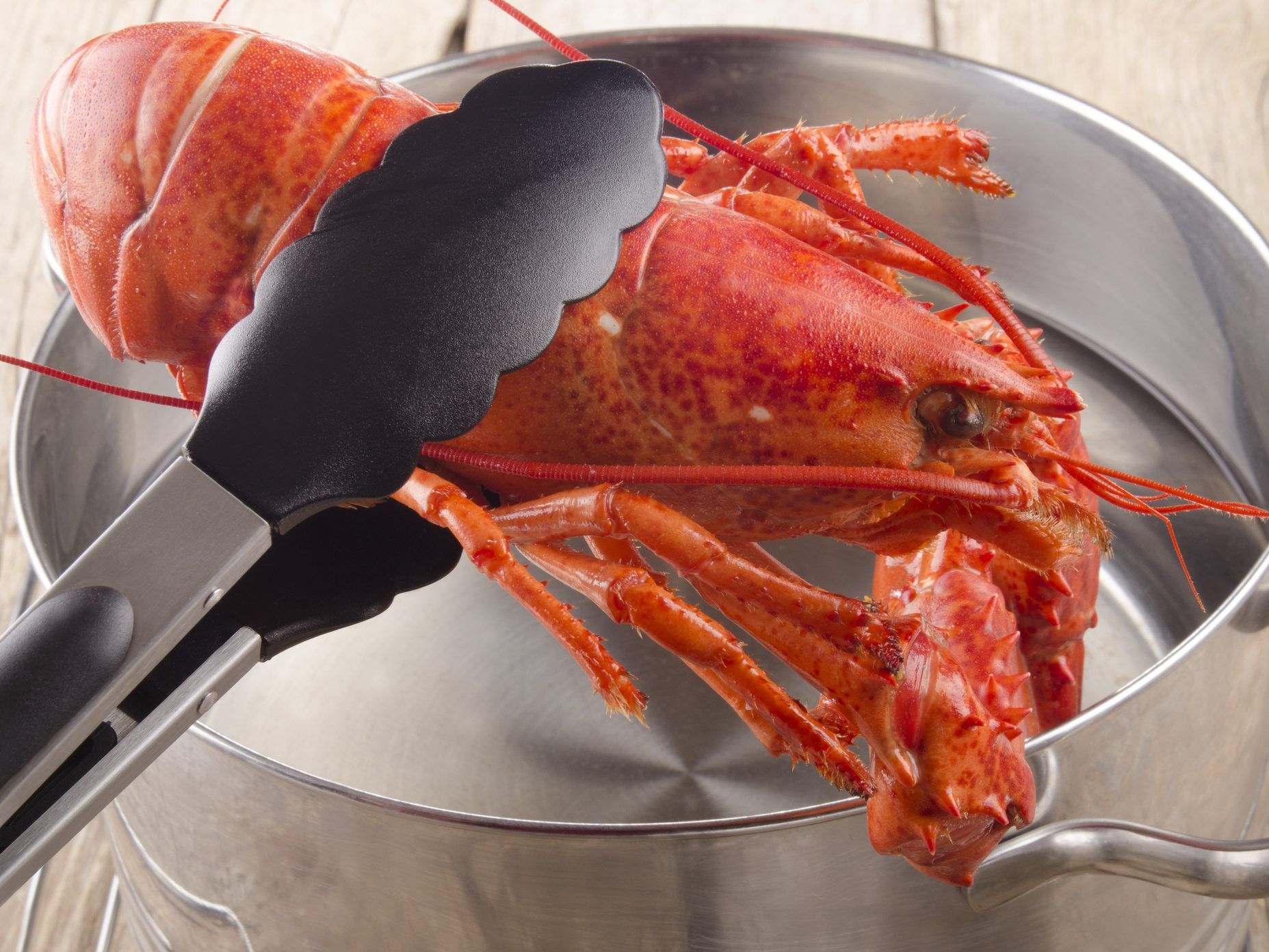 Boiling Lobsters Alive Could Soon Be Banned In The U K National Post
