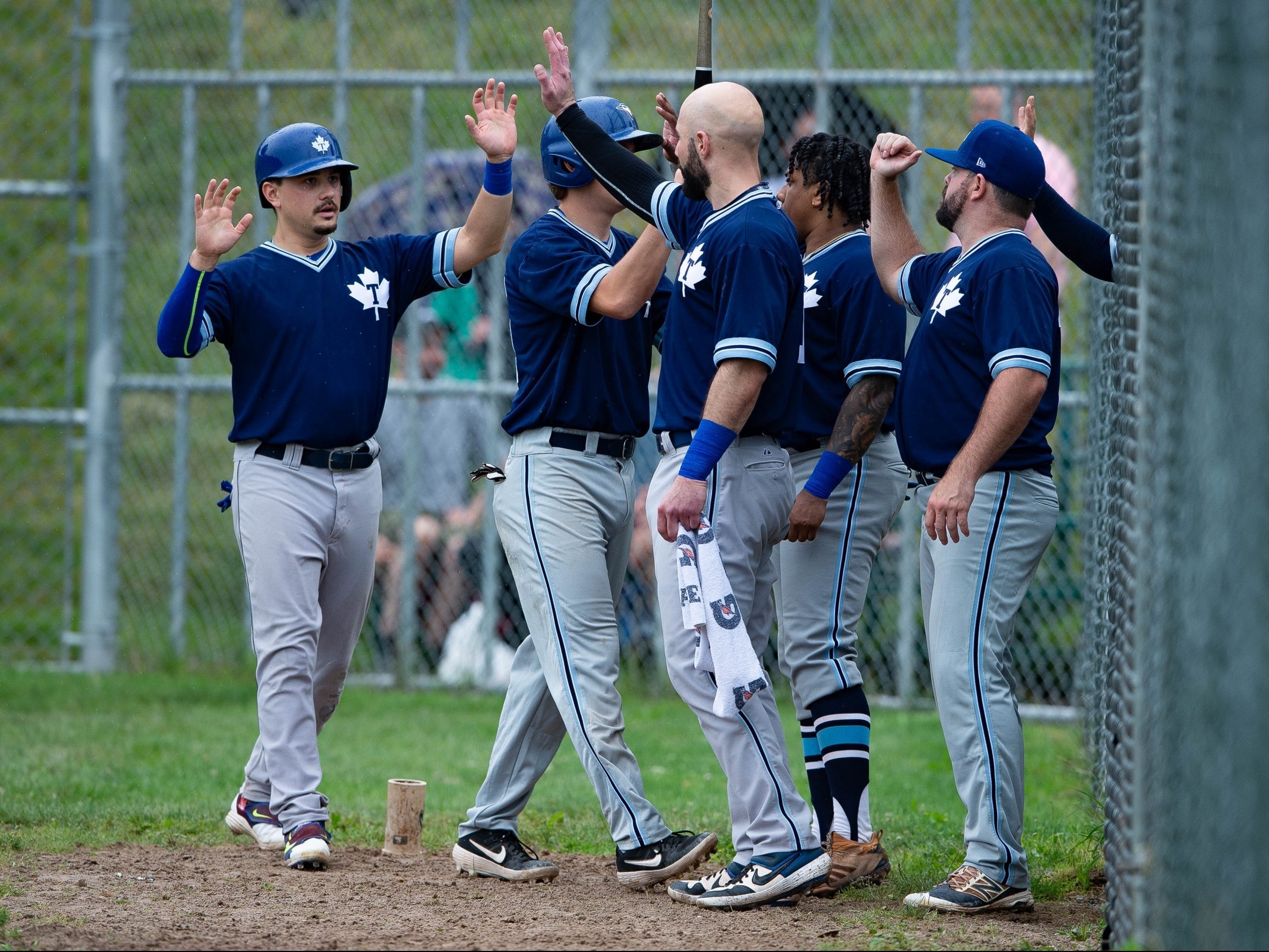 Power Hitting Newcomers Lead Maple Leafs Rout Of Welland In Ibl Home Opener Toronto Sun 