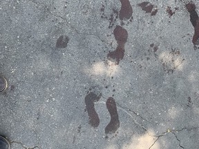 Bloody footprints at the scene outside a home on Crooked Stick Rd. in Vaughan on Thursday, July 22, 2021, the day after a man trying to sell a dog was wounded in a stabbing.