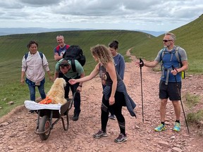 Hikers greeting Monty and owner Carlos. SWNS