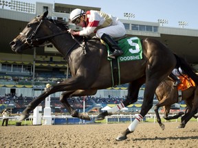 Jockey Gary Boulanger guides Lorena to victory in the $125,000 Fury Stakes at Woodbine on July 10, 2021.