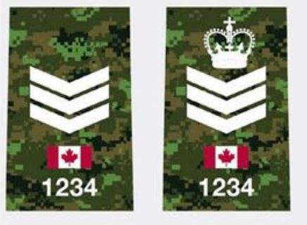 Blue Jays don Canadian Forces' CADPAT camouflage to celebrate U.S. Memorial  Day