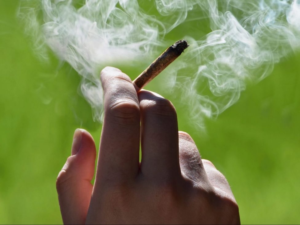 Drug dealers still control 33% of Canada's cannabis market despite legalization