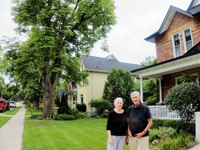 Greg and Helen Taylor in the front yard with their saved chestnut tree.