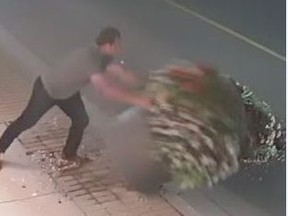 An image released by York Regional Police in their investigation of the toppling of planters on Main St. in Newmarket on July 29, 2021.